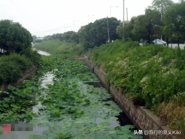 上海自驾西山旅游攻略,苏州东山一日游自驾游最佳路线图