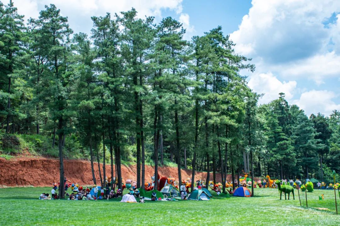 昆明旅游攻略一日游景点推荐理由,昆明旅游景点推荐一日游攻略图