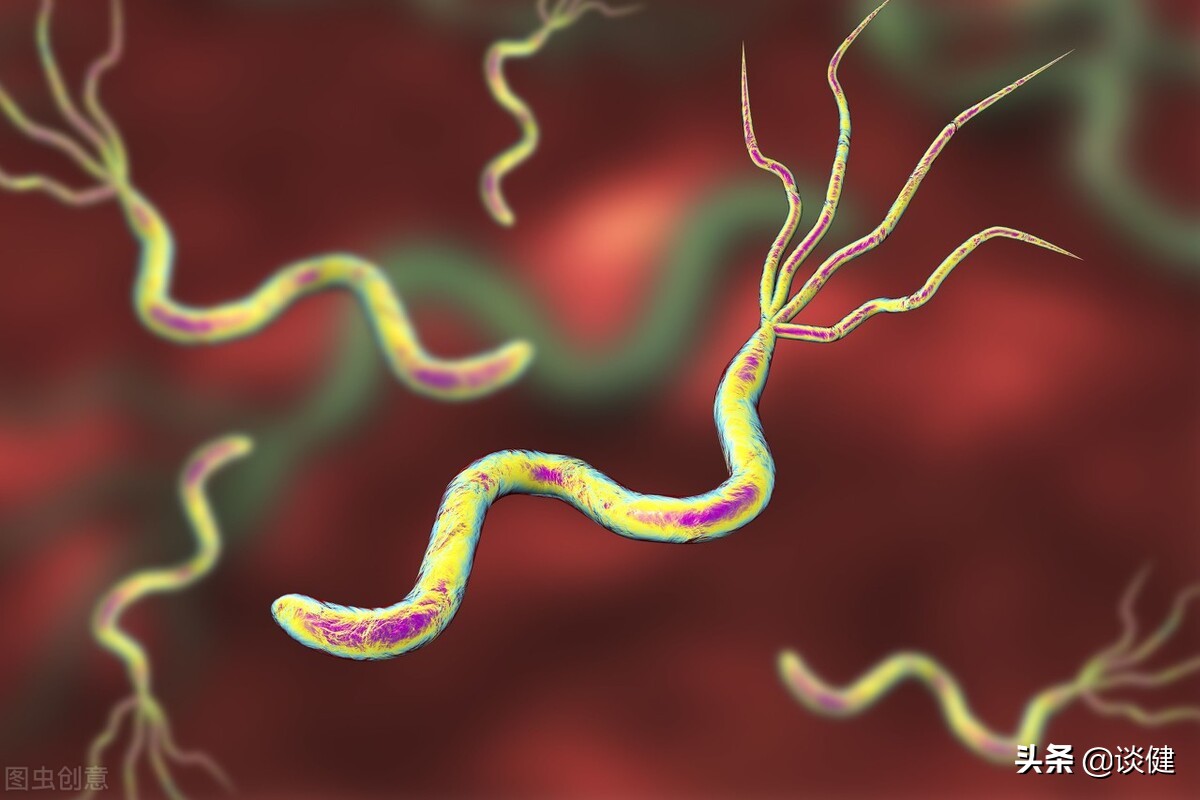 卫之幽益生菌能杀幽门螺旋杆菌吗,德国ouu幽门螺旋杆菌益生菌靠谱吗