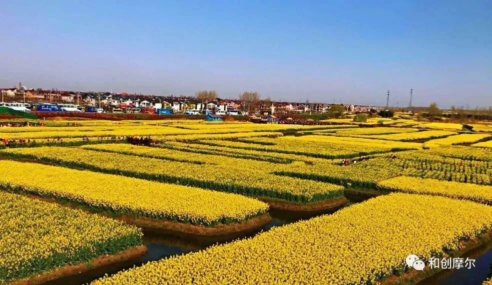 积极探索村集体经济发展模式,探索农村集体经济联合社模式