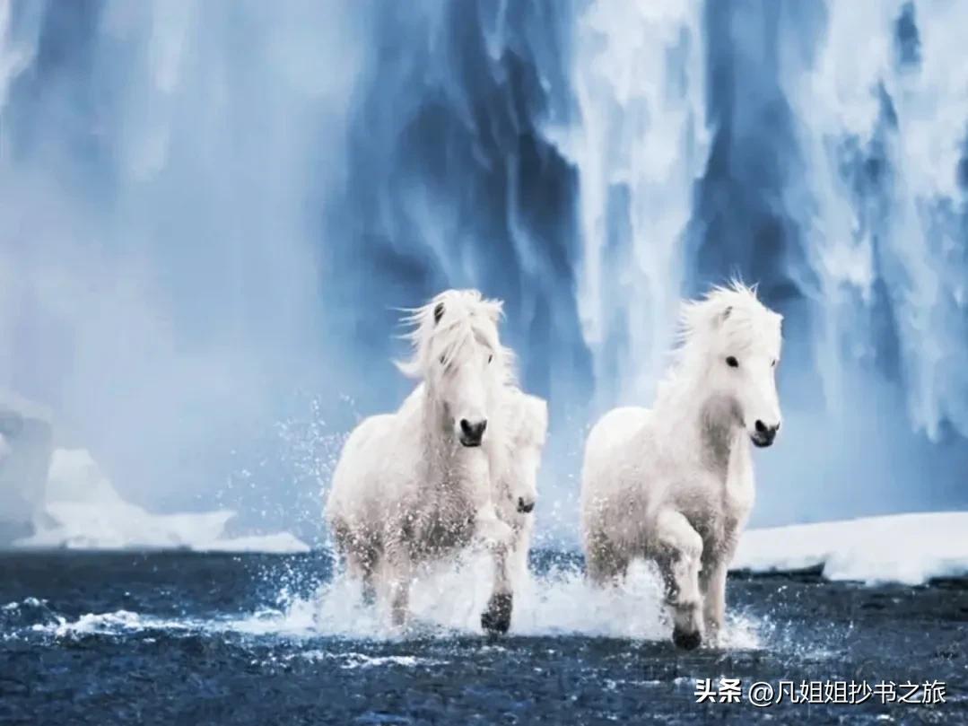 你可能知道但不完全的冷知识,冰岛不知道的冷知识