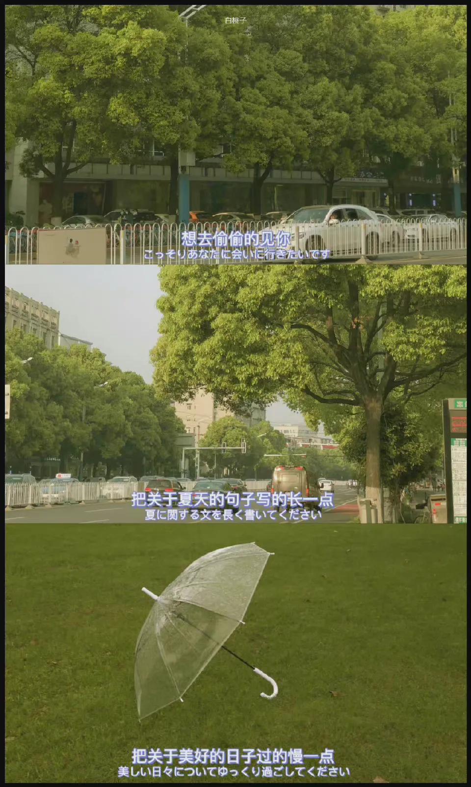 夏天风景壁纸高清全面屏,夏天图片唯美风景壁纸