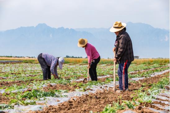 一位患者的真实自述,一个患者的真实自述