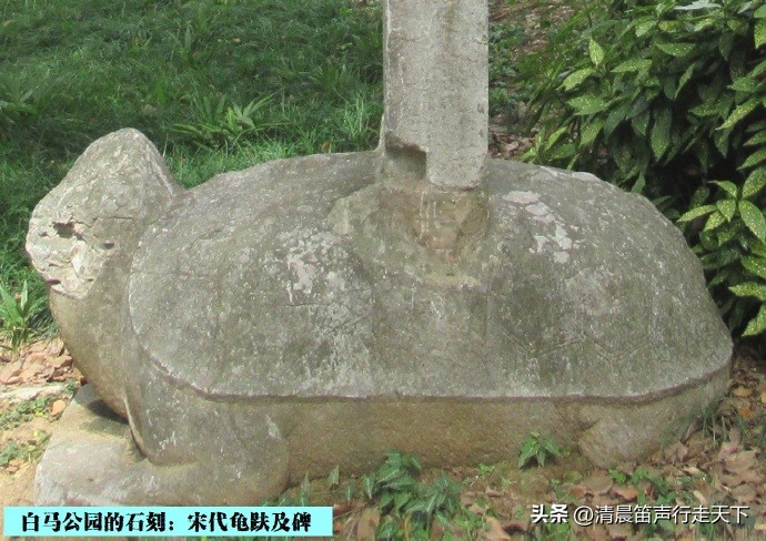 白马公园白马石刻朝代,公园石刻精品欣赏