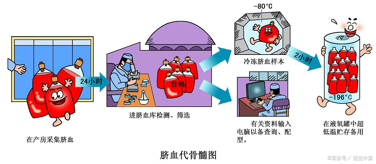 父子之间血型怎么鉴定,父子一样的血型就代表亲生的吗