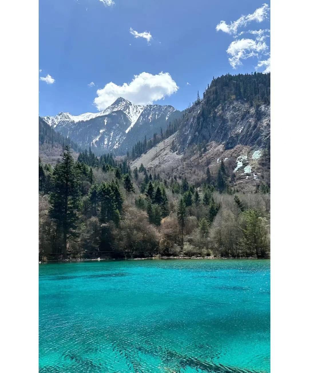 去四川旅游的真实感受,为什么去四川旅游最好