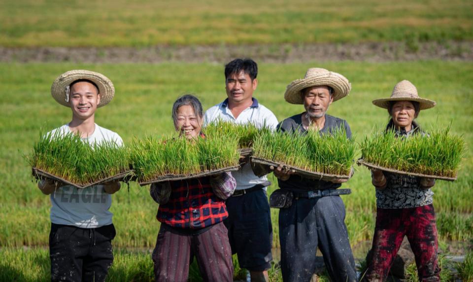 国家对农民工资有什么政策,国家对农民发工资政策