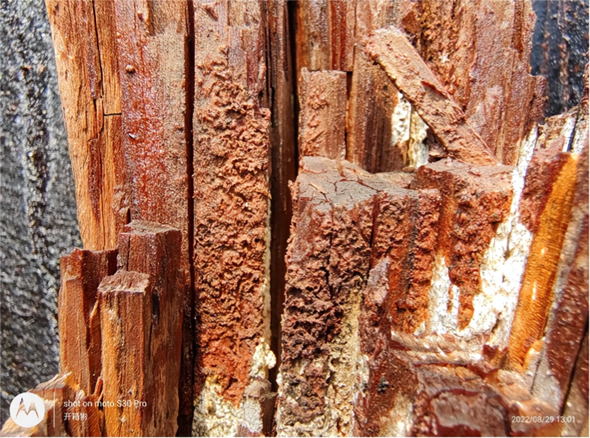 motos30pro缁埅鎷嶇収璇勬祴,motos30pro鎷嶇収娴嬭瘎