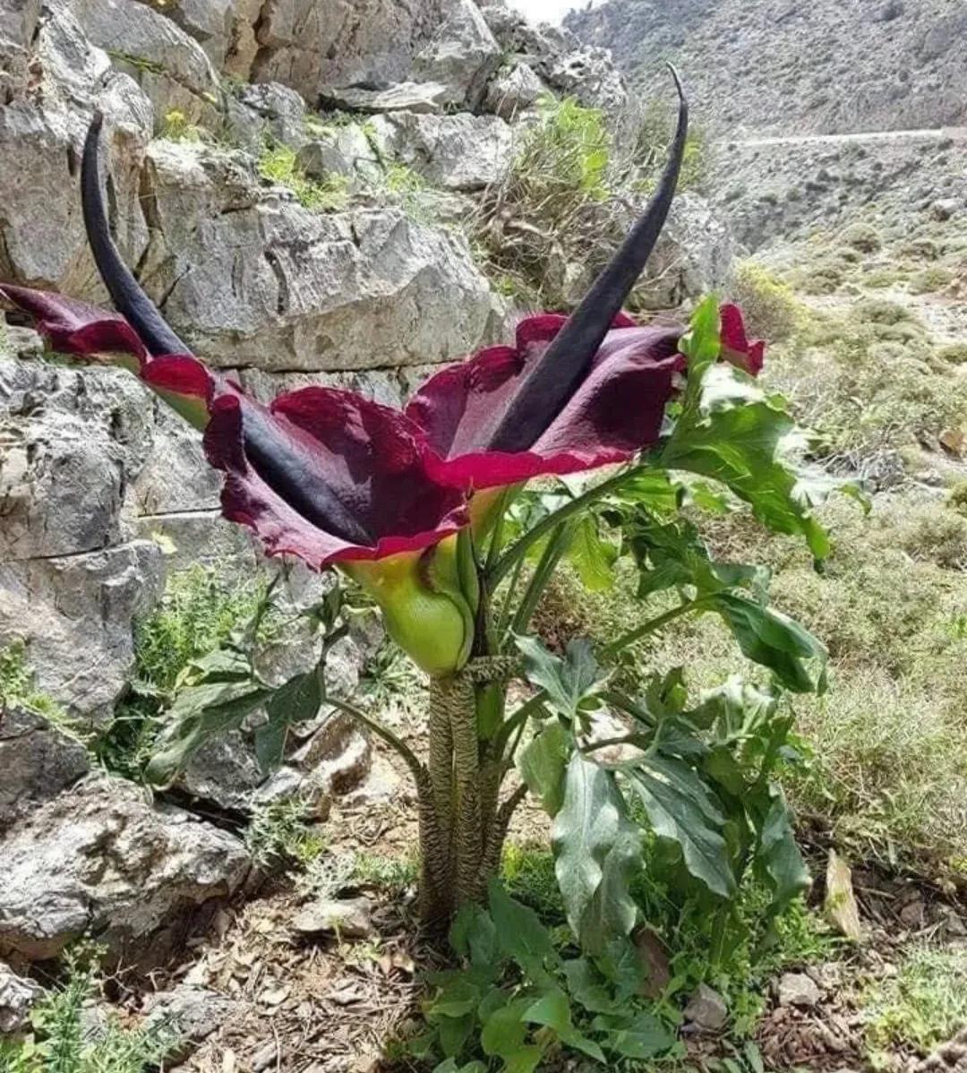 这一刻，让我感觉老公之前所有的好都是虚伪的，装的，心如死灰