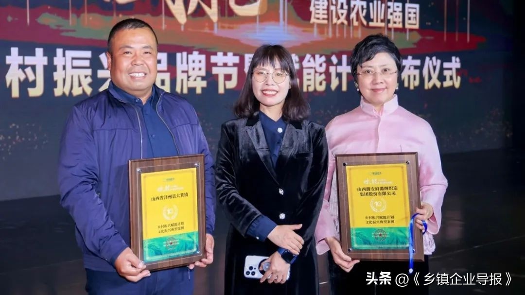 乡村振兴赋能计划人才典型案例,乡村振兴之文化振兴案例