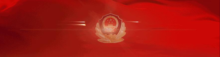 忘带身份证可以查询吗,忘带身份证怎么看身份证正反面