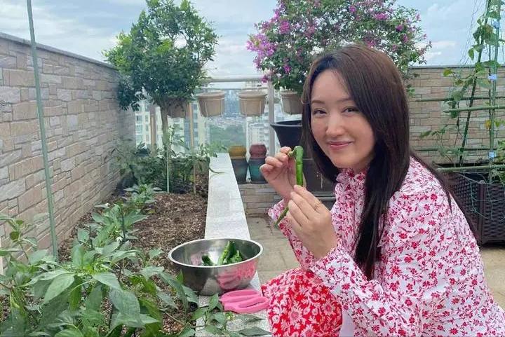 52岁的杨钰莹婚姻情况,52岁杨钰莹为何至今未婚