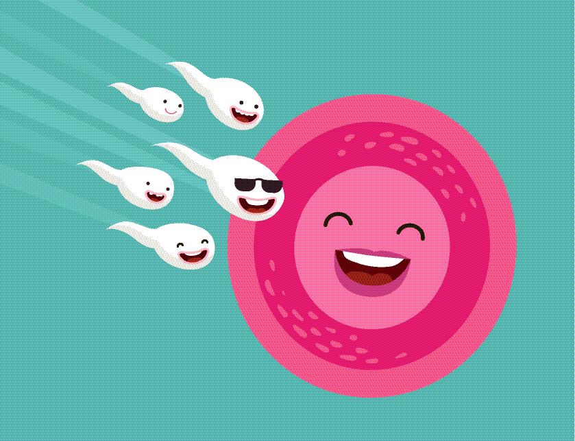 单角子宫囊胚移植几天后着床,移植未着床为什么感觉子宫发紧