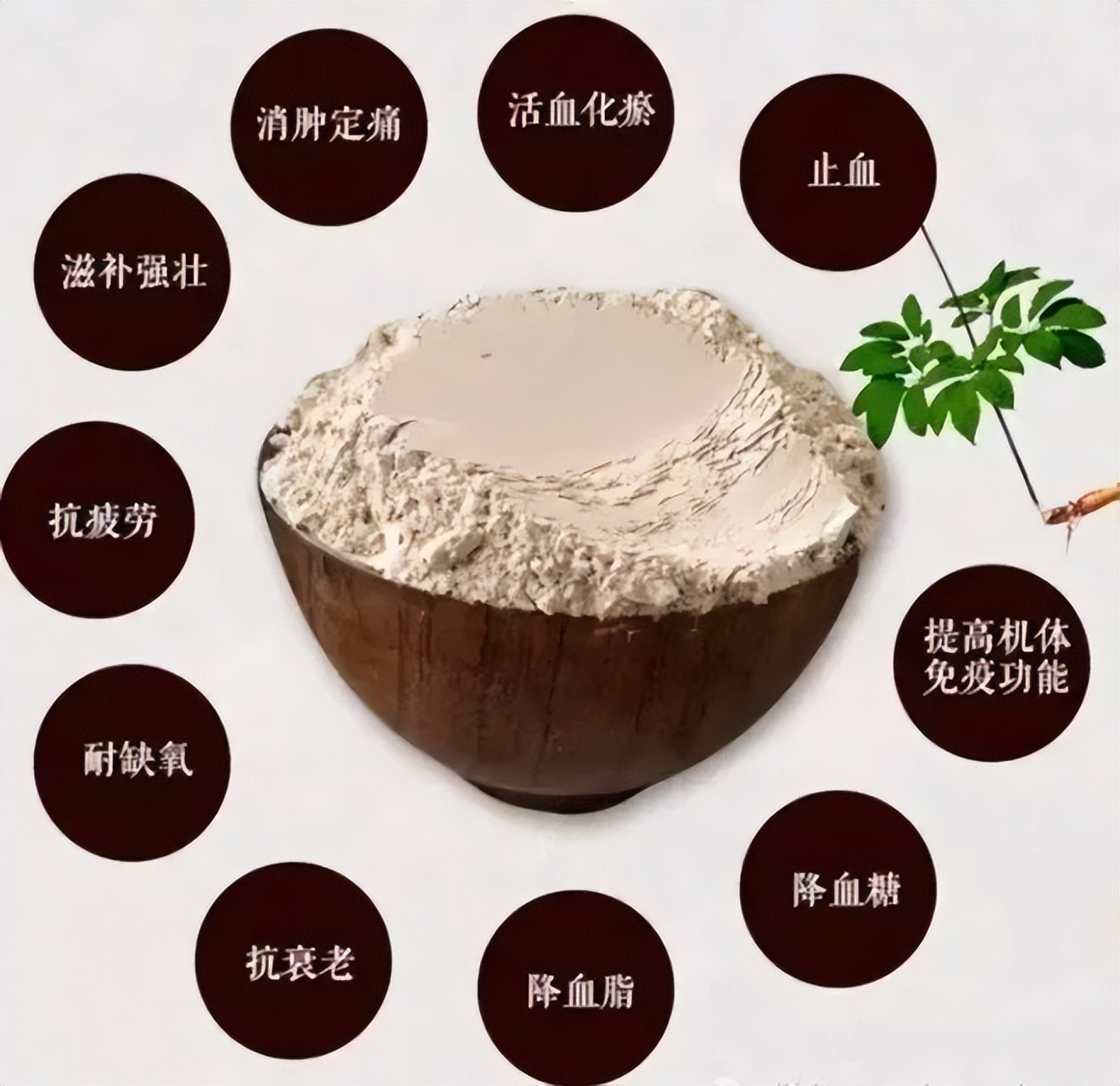 三七粉不能随便吃，9大注意事项不容忽视