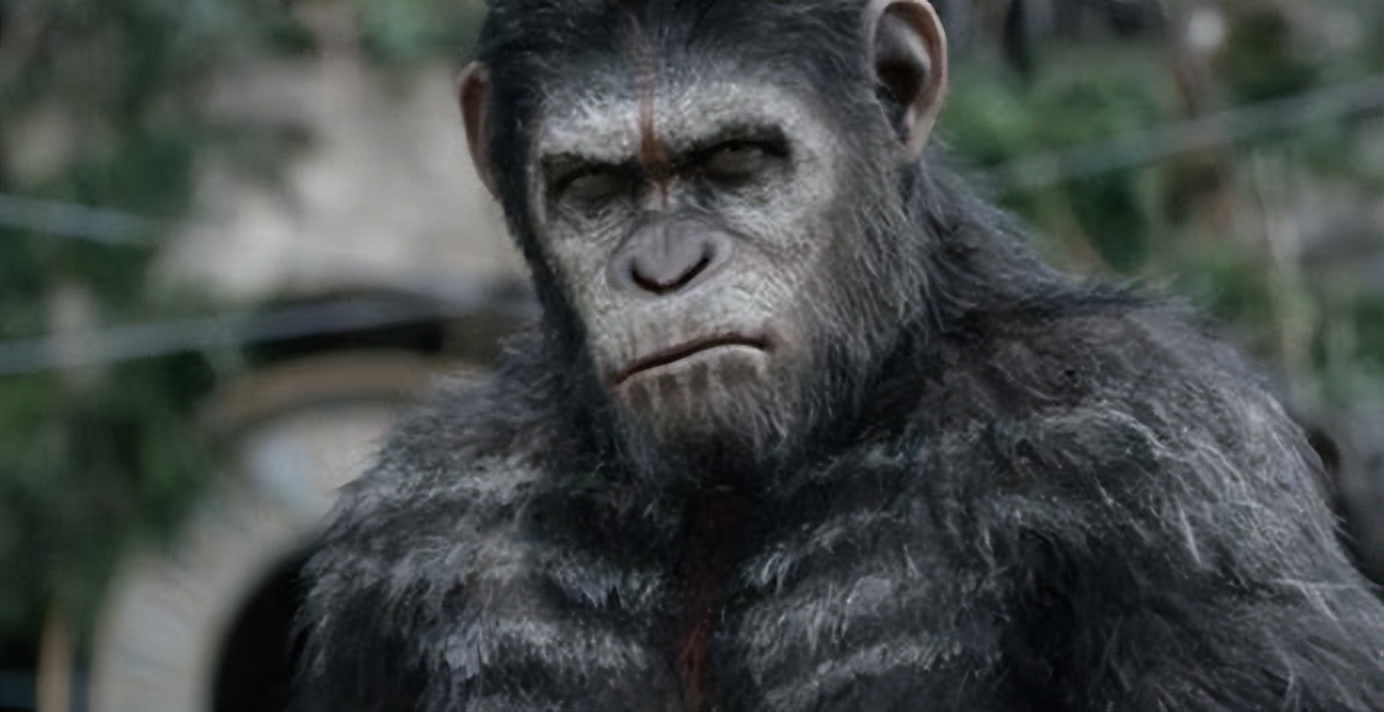 人类动物能混血吗,人类真的能杂交吗