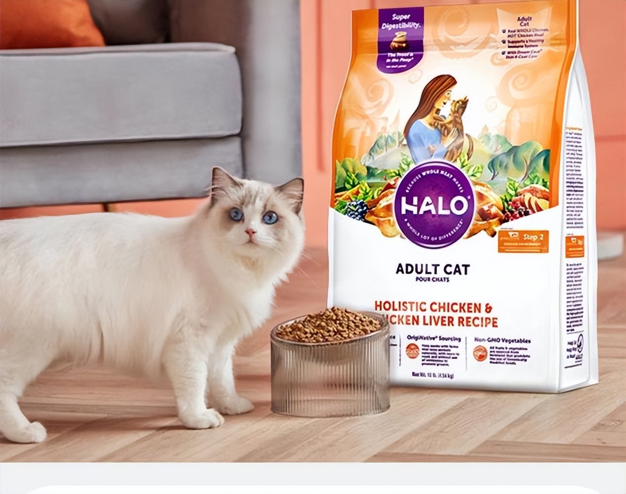 馋不腻猫粮口碑为什么那么好,口碑最好的十大猫粮排名榜测评