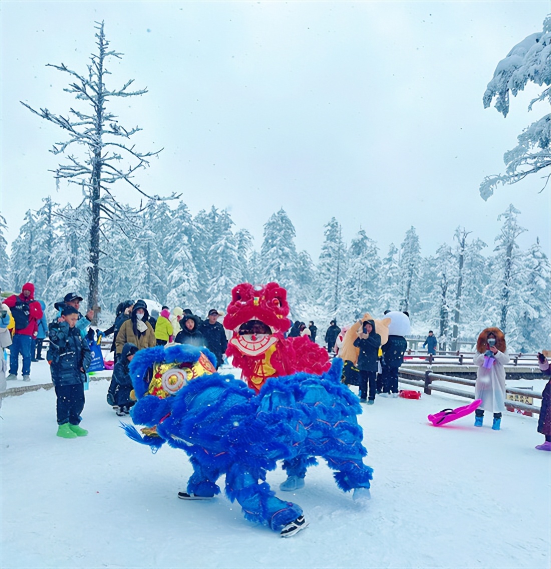 拼经济促发展的有关表述,拼经济促发展