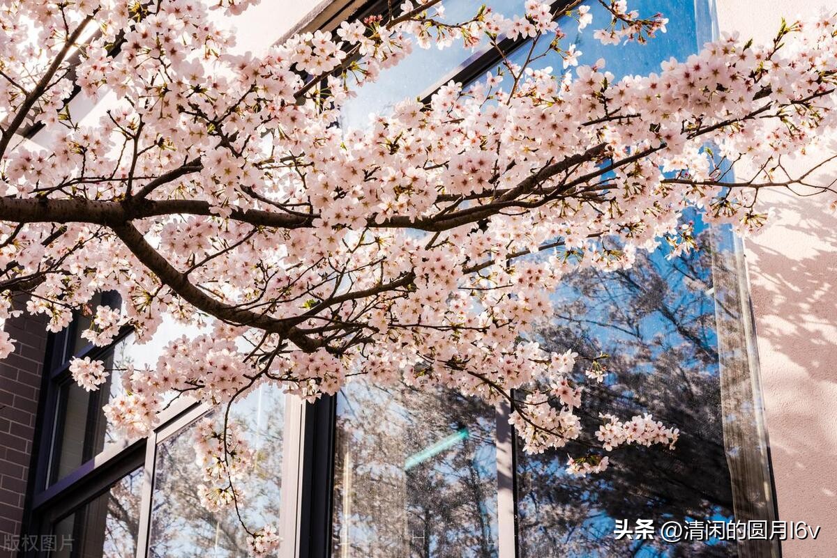 安徽建筑大学函授,安徽建筑大学官网