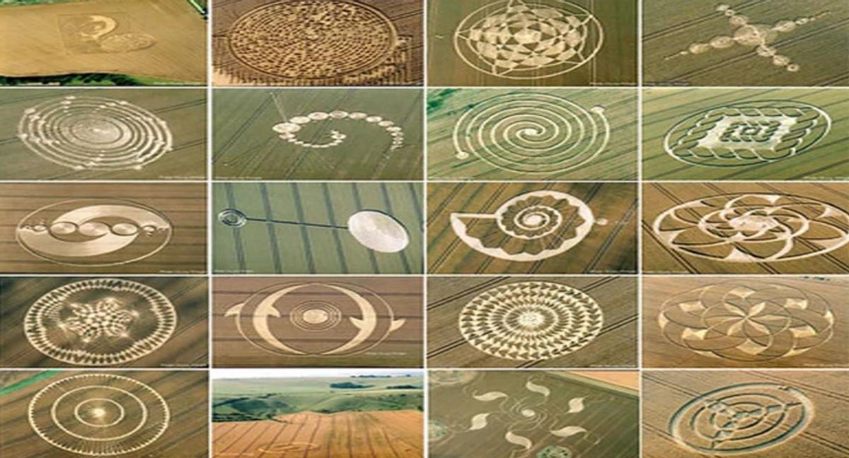 外星人ufo事件真相,有关ufo和外星人的事件和来历