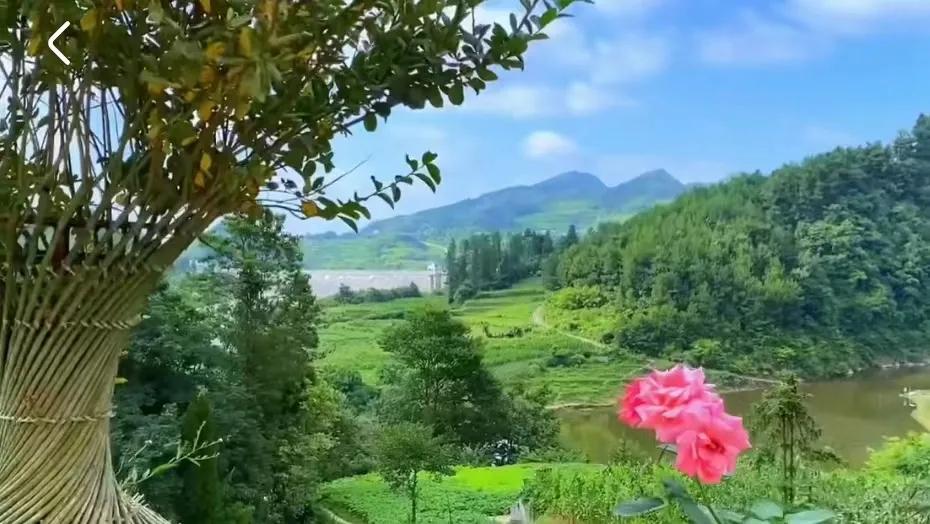 贵州避暑包吃住价格表,贵州毕节避暑农家乐包吃包住