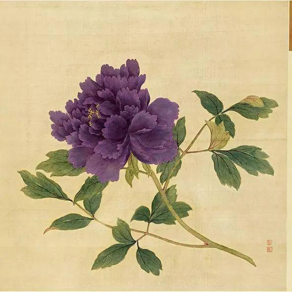 蒋廷锡牡丹画法,蒋廷锡百种牡丹画法