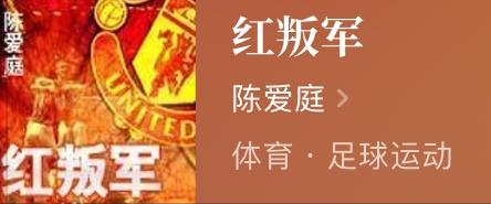 足球题材小说有哪些,最好看的足球小说有哪些