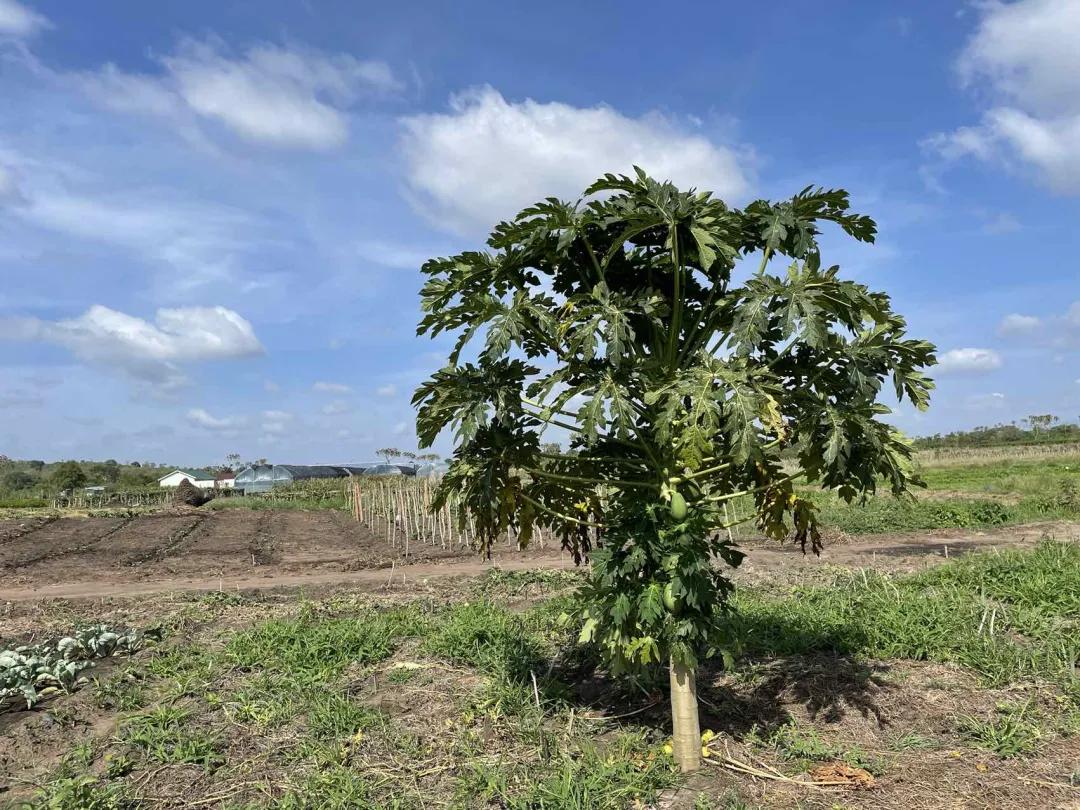 老汤创业,老汤生活记录