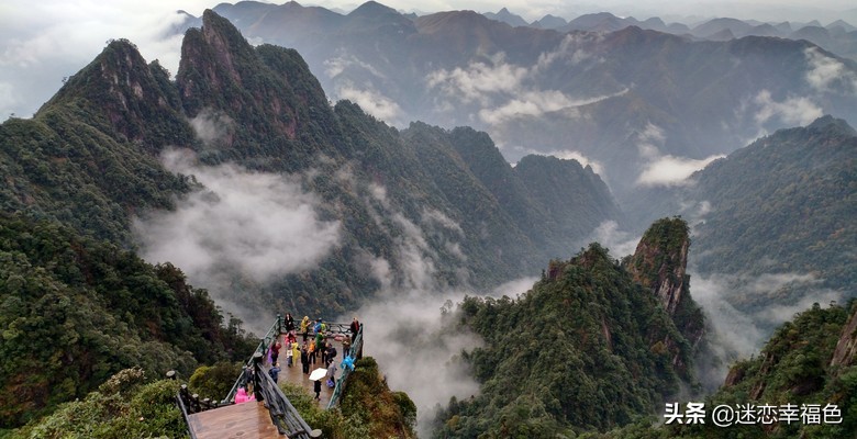 蛇博士完整版,蛇博士烙铁头