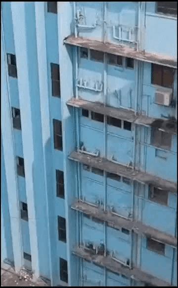 狗子看猫咪很轻松地就上去了，也学着来，结果把猫咪的窝给砸了