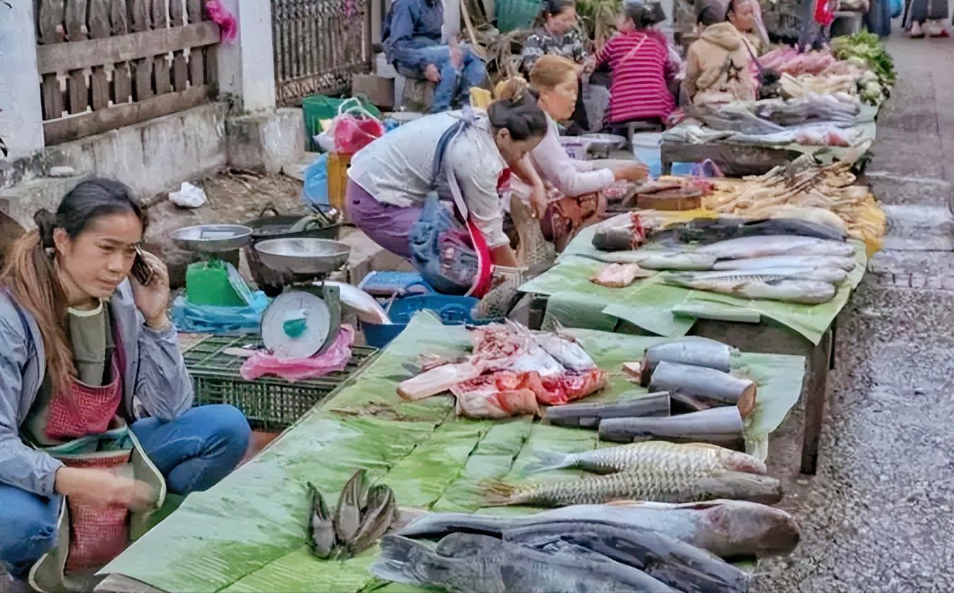 老挝保护野生动物,老挝集市野生动物