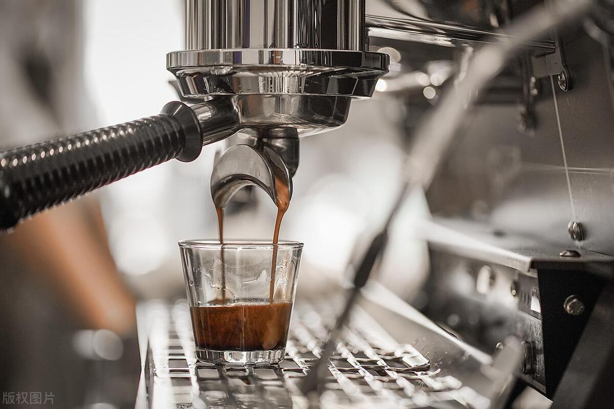 最出名的猫屎咖啡,什么猫屎咖啡最好