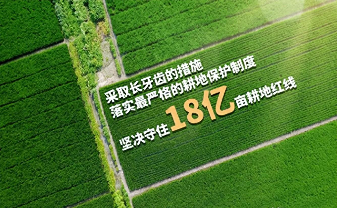 熊猫40年血泪史,大熊猫之殇