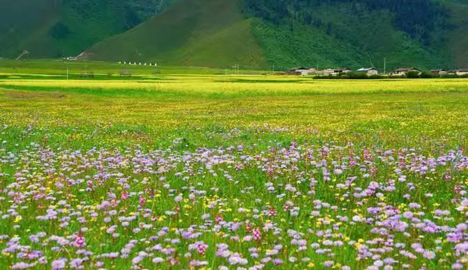云南旅游避暑景点有哪些地方好耍,云南避暑美食胜地