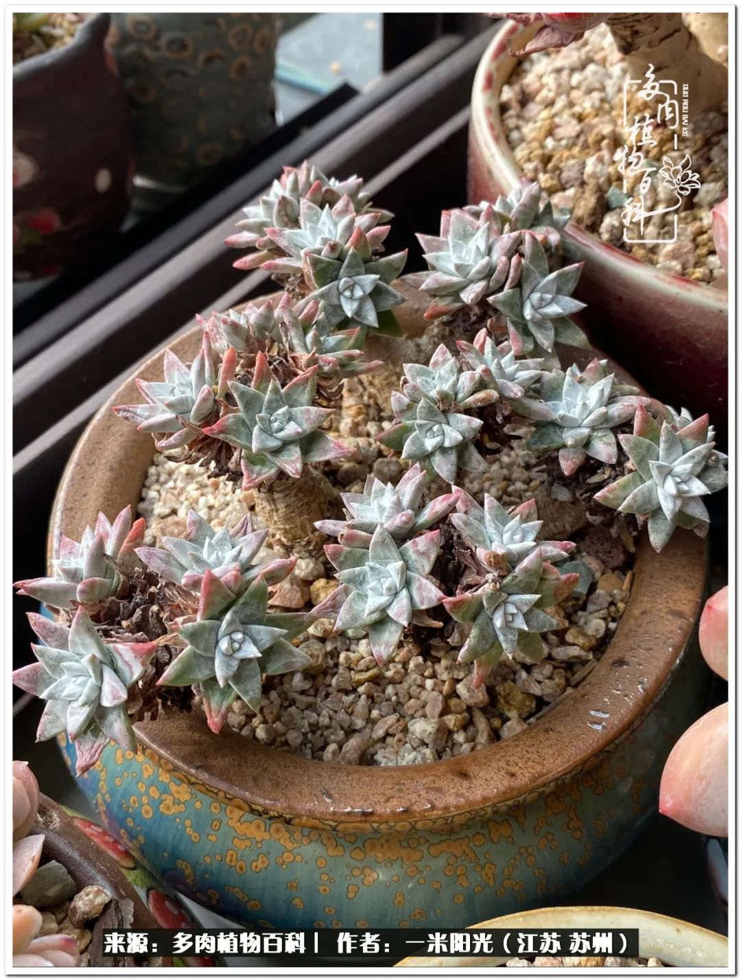 幸福就是珍惜当下所拥有的,珍惜当下所拥有的才是幸福的