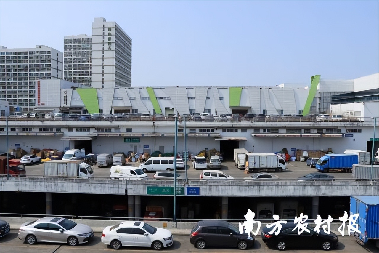 深圳海吉星菠萝一斤多少钱,平湖海吉星菠萝批发