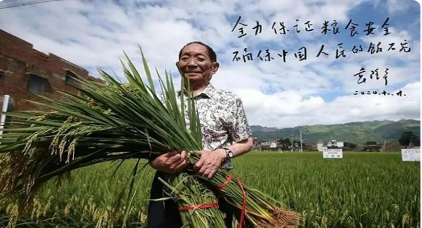 美国为何宁愿倒贴农民，也要把粮食出口到中国，暗地里有何阴谋？