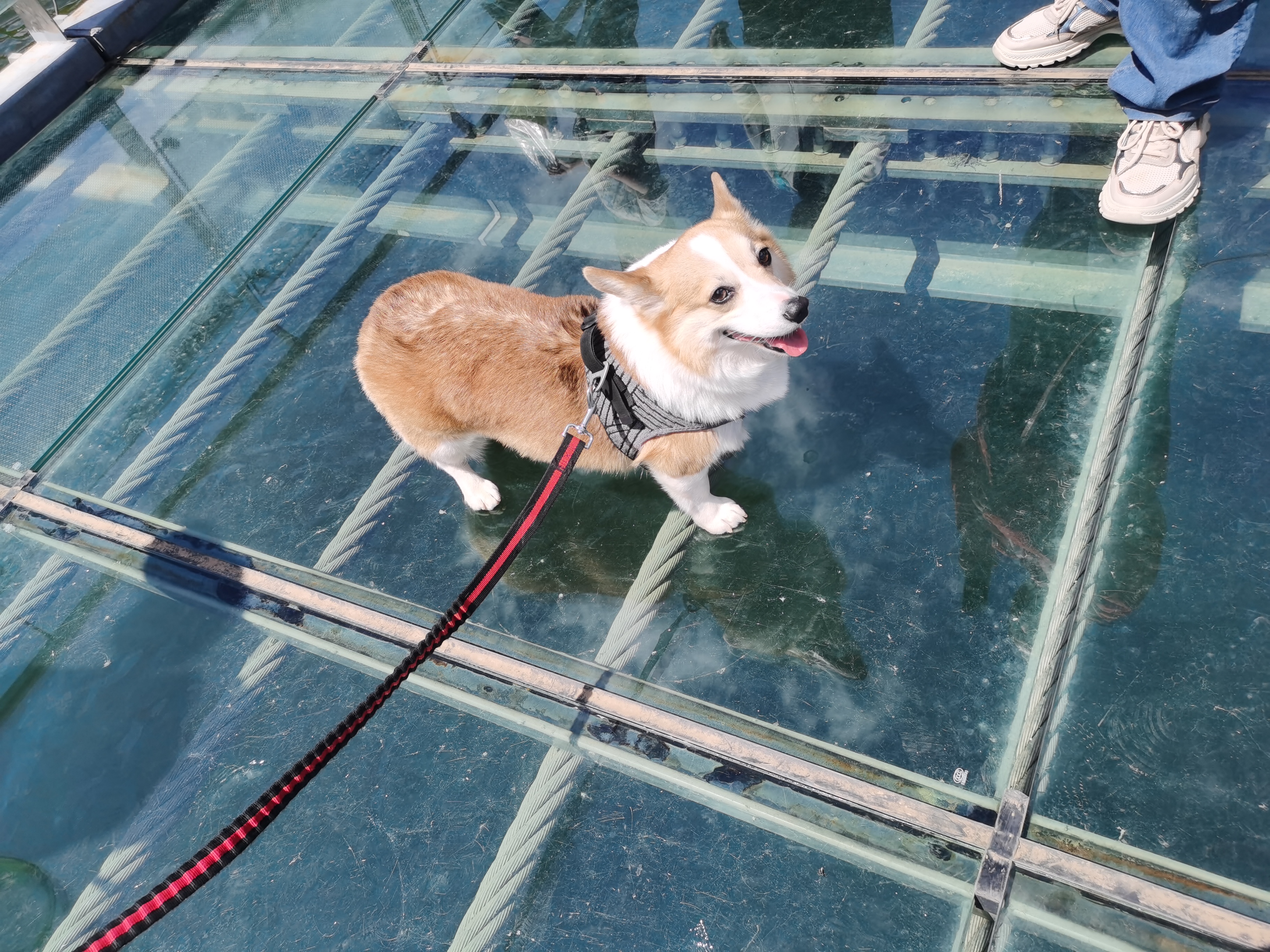 黄花城水长城旅游攻略,行走万里长城之旅