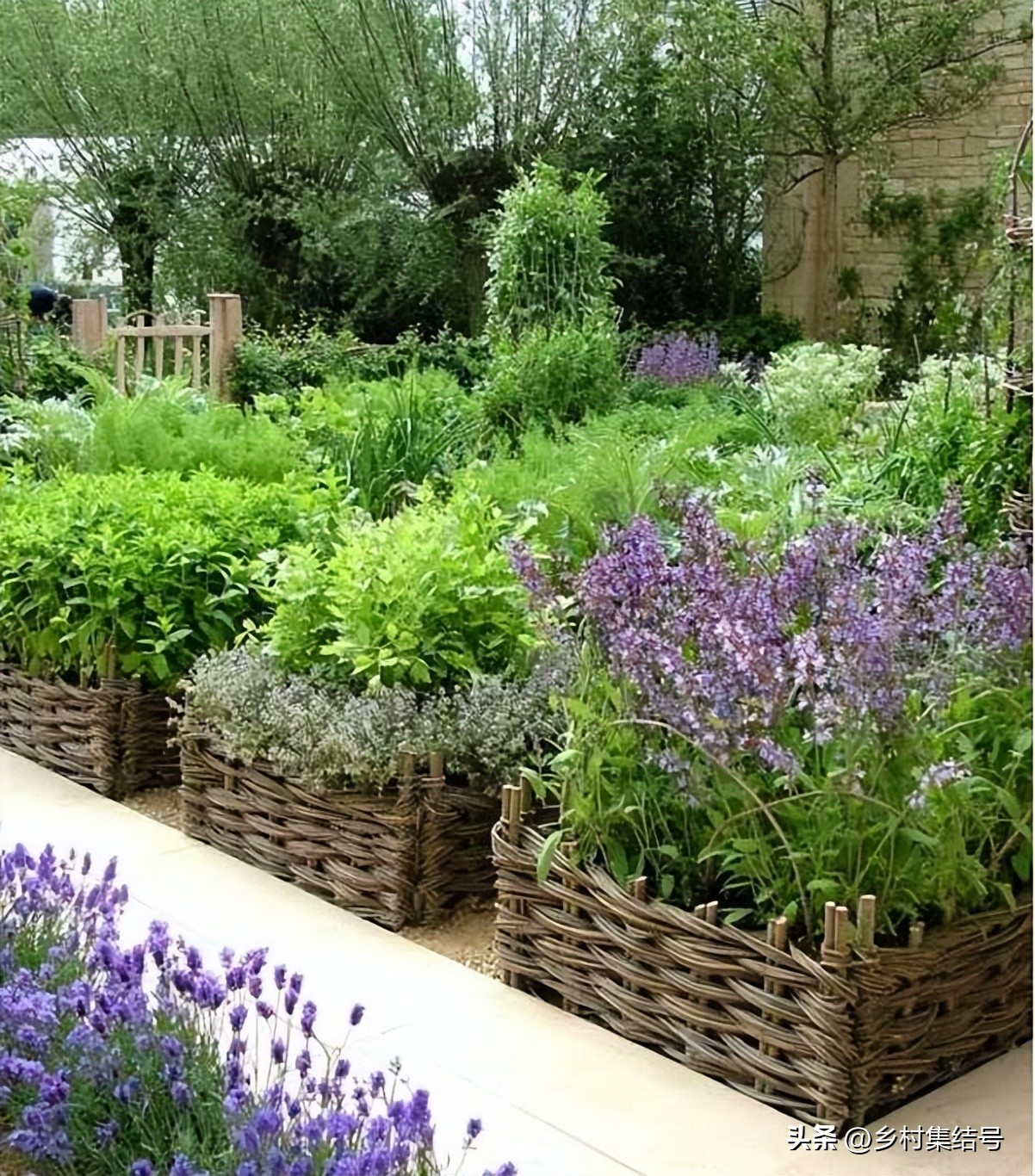 别墅庭院创意藤床,农村新型庭院花园设计图