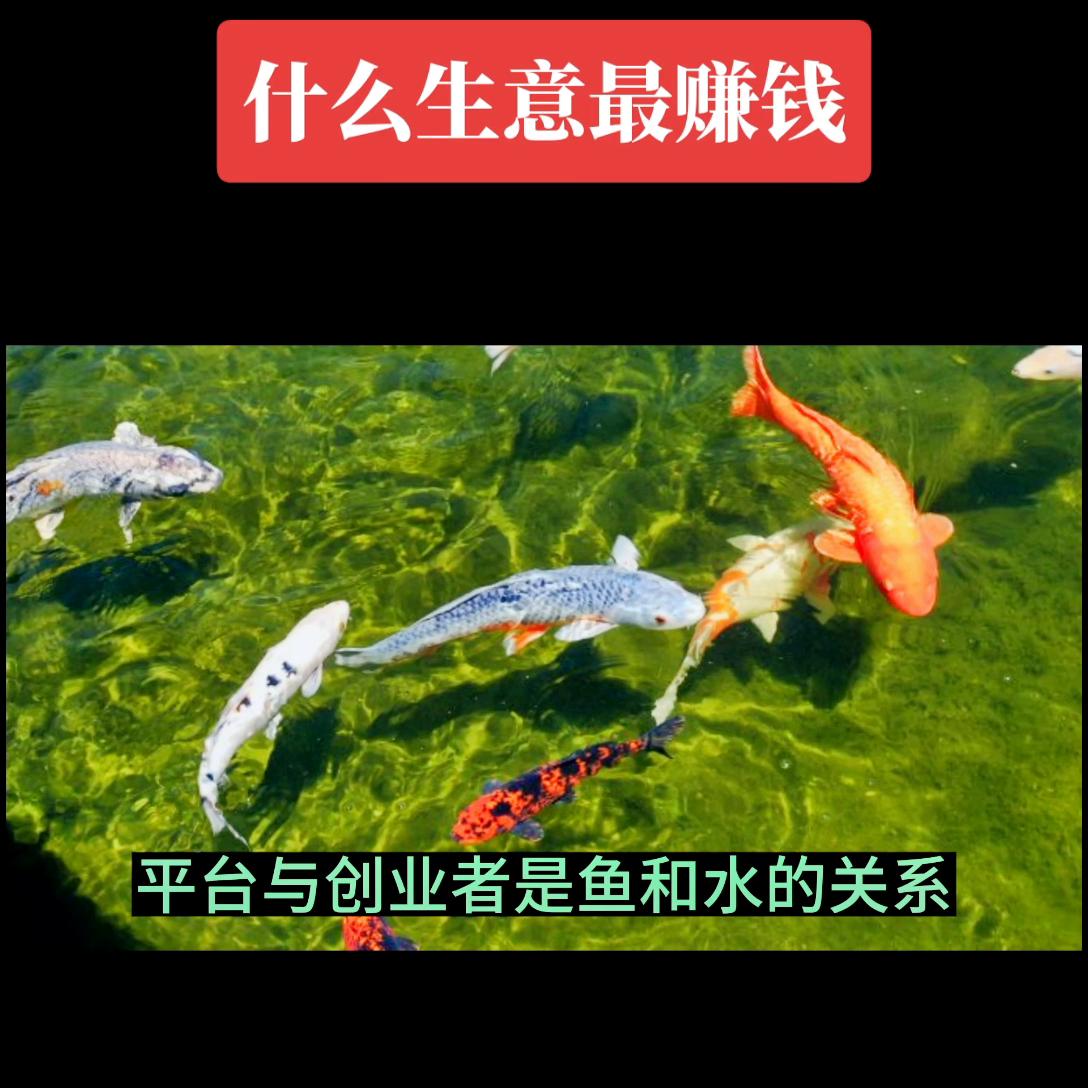 分享几个赚钱的创业思路,创业课堂分享几种业余赚钱的方法