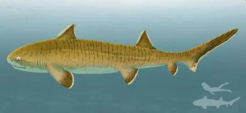 鳄鱼鲨鱼鲸鱼谁最厉害,鲨鱼和鳄鱼大战谁最厉害