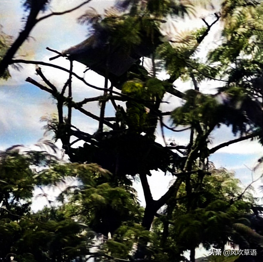 1938年，江苏徐州沦陷后的伪军、鬼子和穷苦的百姓