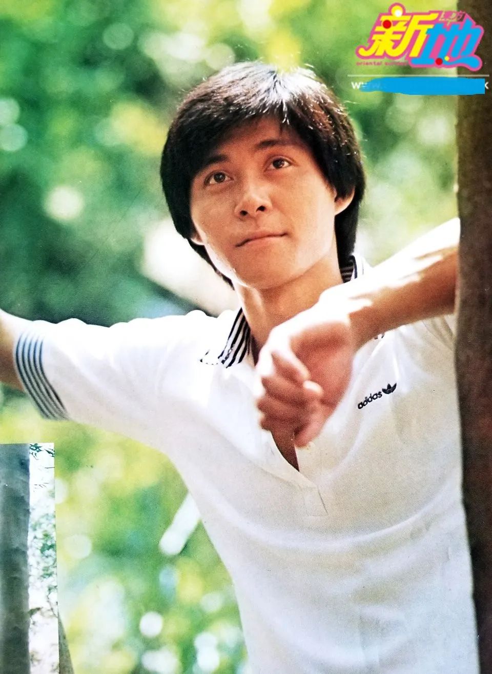 60岁港星内地庆生捞金,66岁港星