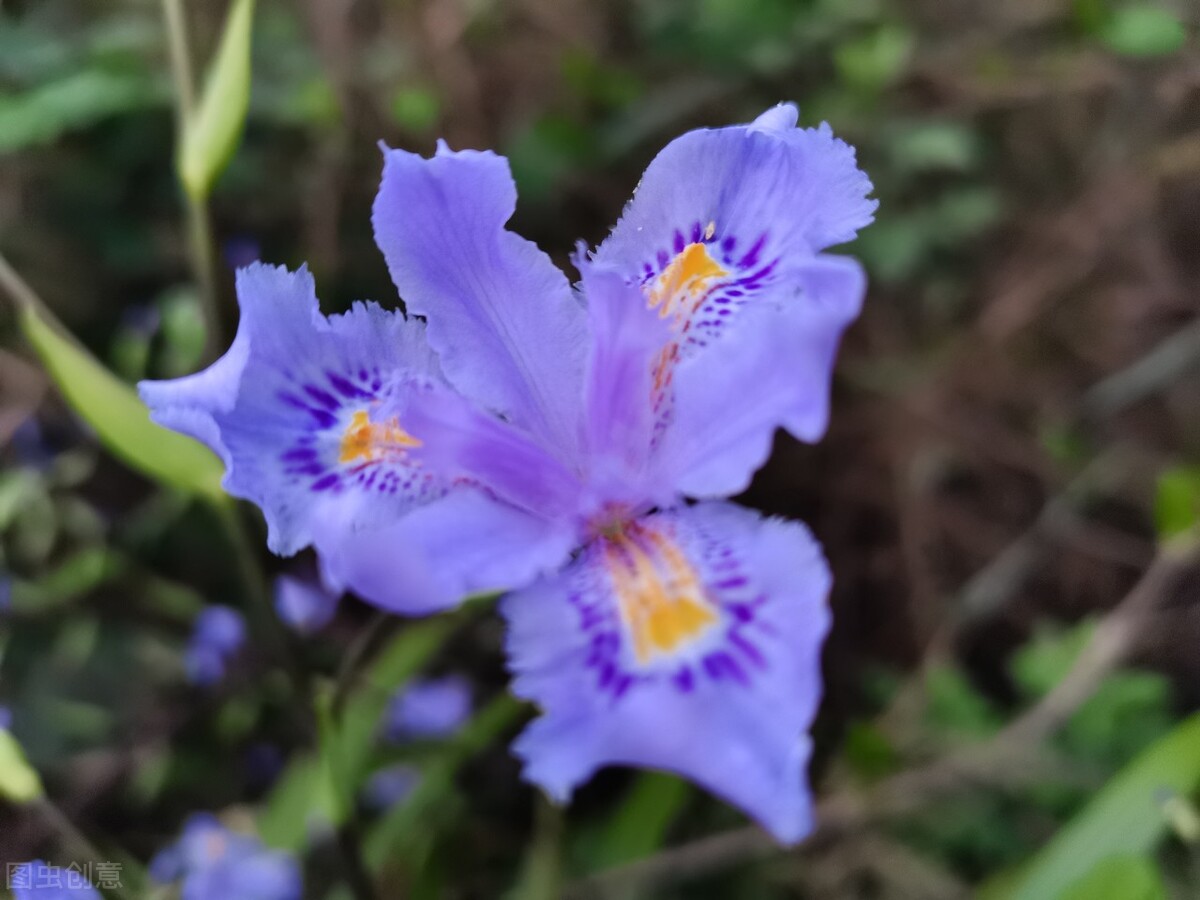 早安暖心治愈系心语语录