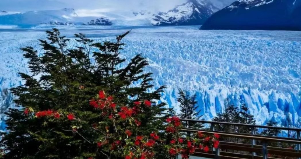 阿根廷南极旅游业,阿根廷比索旅游业