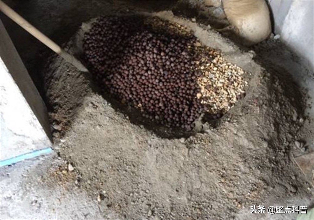 为啥往水泥里加砂浆,白糖能阻止水泥硬化这是真的吗