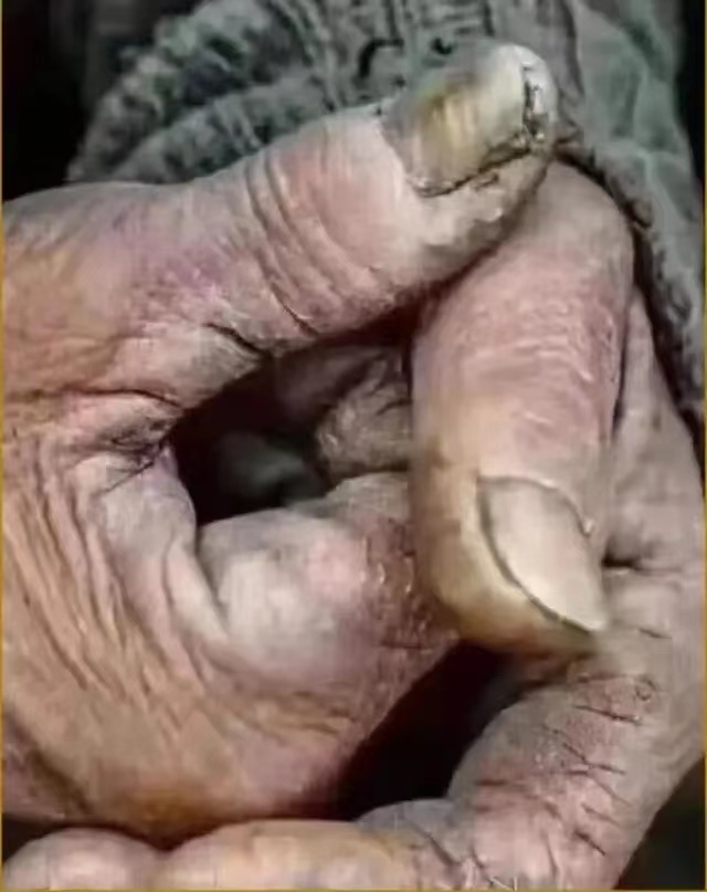 这双手原唱图文,这双手原唱