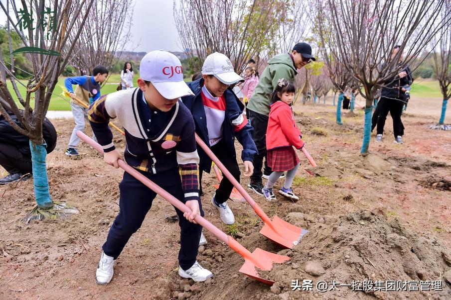 太一控股集团,太一集团与太一控股集团