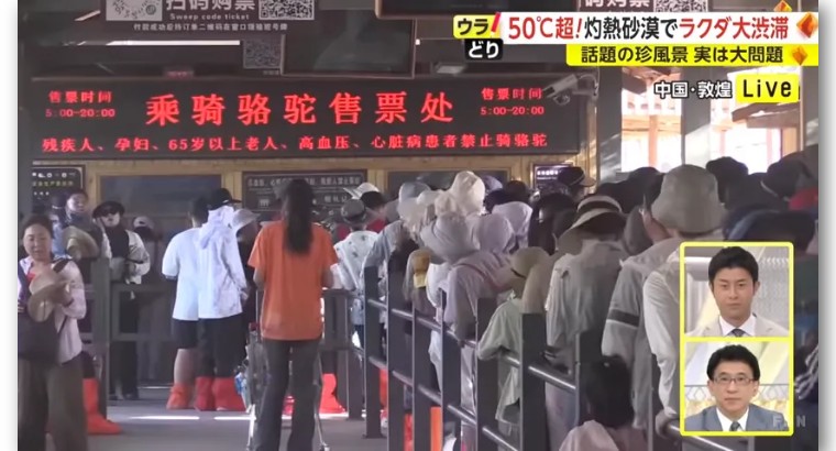 日本记者敦煌堵骆驼,日本记者直播连线冰墩墩