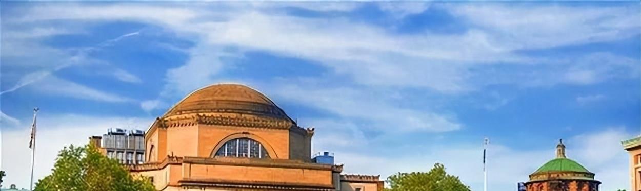 女汉奸袁莉还能回国吗,现代女汉奸袁莉