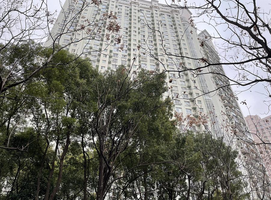 上海最繁华地段的街道,上海最豪横的地段